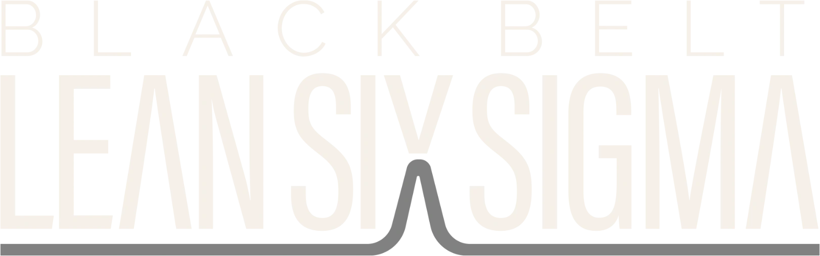 Black Belt Lean Six Sigma — Gemba Group